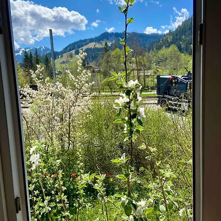 Apartament Parterre-wohnung Im Zentrum